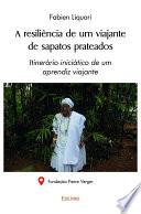 A resiliência de um viajante de sapatos prateados