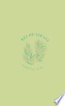 Bíblia NVI com zíper: Rei de Israel, courosoft verde com toque emborrachado, Leitura Perfeita: Nova Versão Internacional