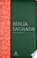 Bíblia Sagrada NVI, Couro Soft, Verde, Letra Grande, Leitura Perfeita