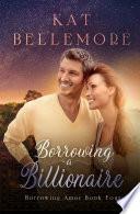 Borrowing a Billionaire