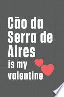 Cão Da Serra de Aires is My Valentine