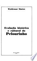 Evolução histórica e cultural do Pelourinho