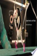 Experimentos com Ratos
