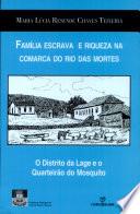 Família escrava e riqueza na comarca do Rio das Mortes