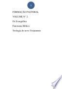 Formaçâo Pastoral Volume N° 2 Os Evangelhos Panorama Bíblico Teologia Do Novo Testamento