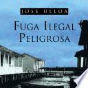 Fuga Ilegal Peligrosa
