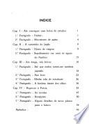 Impressões de um bolsista no país das cerejeiras