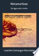 Metamorfose