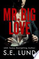 Mr. Big Love