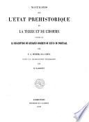 Notions sur l'état préhistorique de la terre et de l'homme suivies de la description de quelques dolmens ou antas du Portugal, français