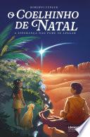 O coelhinho de Natal