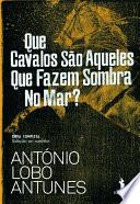 Que Cavalos São Aqueles Que Fazem Sobra no Mar?