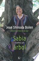 Livro Sabia como un árbol