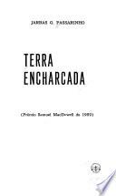 Terra encharcada (romance)