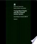 Young black people and the criminal justice system